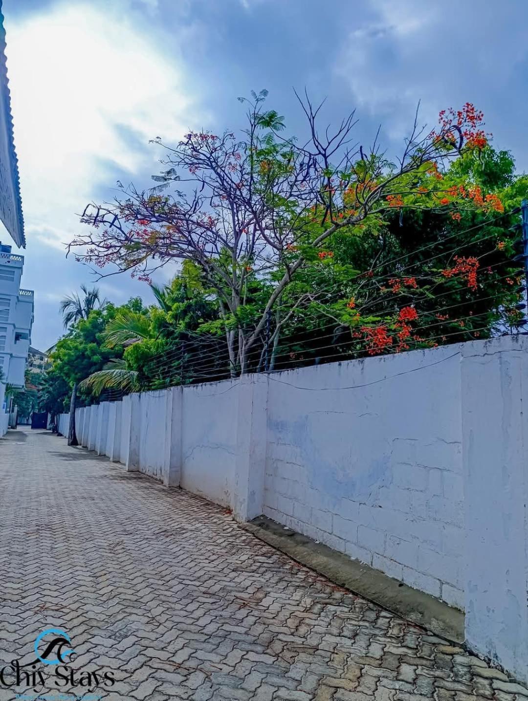 Chiy Stays Galu Exterior photo